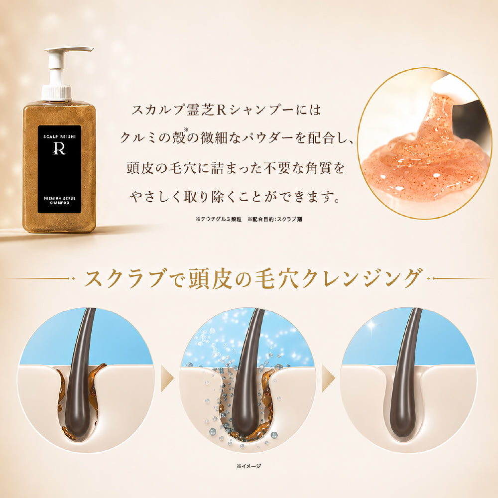 スカルプ霊芝R スクラブヘアケア