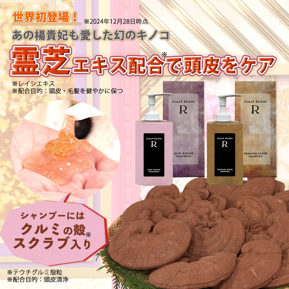 スカルプ霊芝R スクラブヘアケア